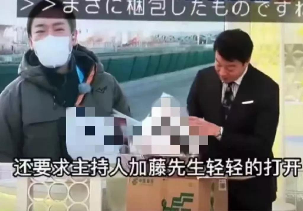 一墩难求现场视频,一墩难求的现象