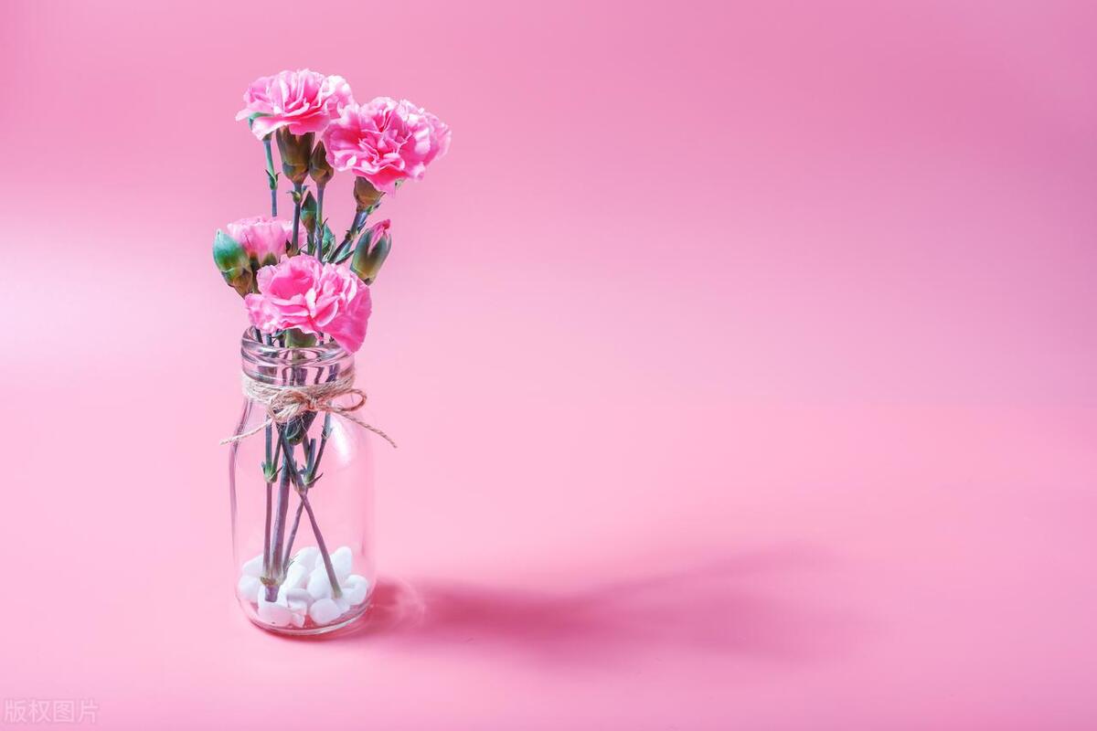 爱一个人放不下怎么办文案,爱一个人放不下怎么办