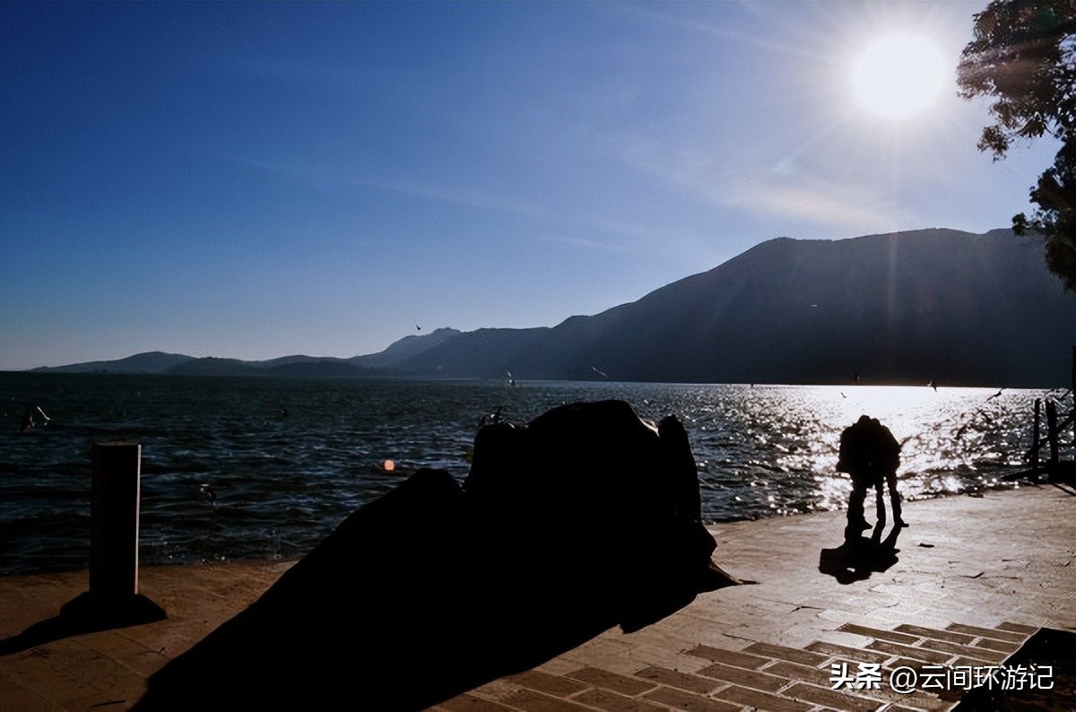 「一根风花雪月的鸡毛」（云南丨昆大丽香）