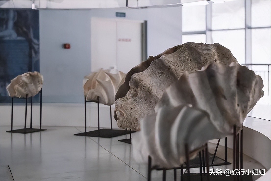 夏日海边浪漫迷人,滨城风光秀丽浪漫气息爆表