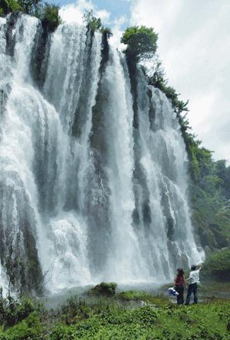世界最美山水花鸟高清图片,精美山水花鸟图片大全