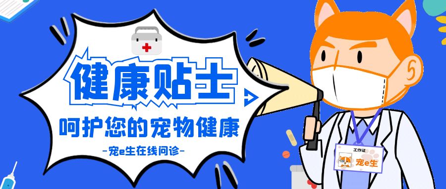 公猫尿道炎怎么解决,公猫尿道疾病怎么治疗