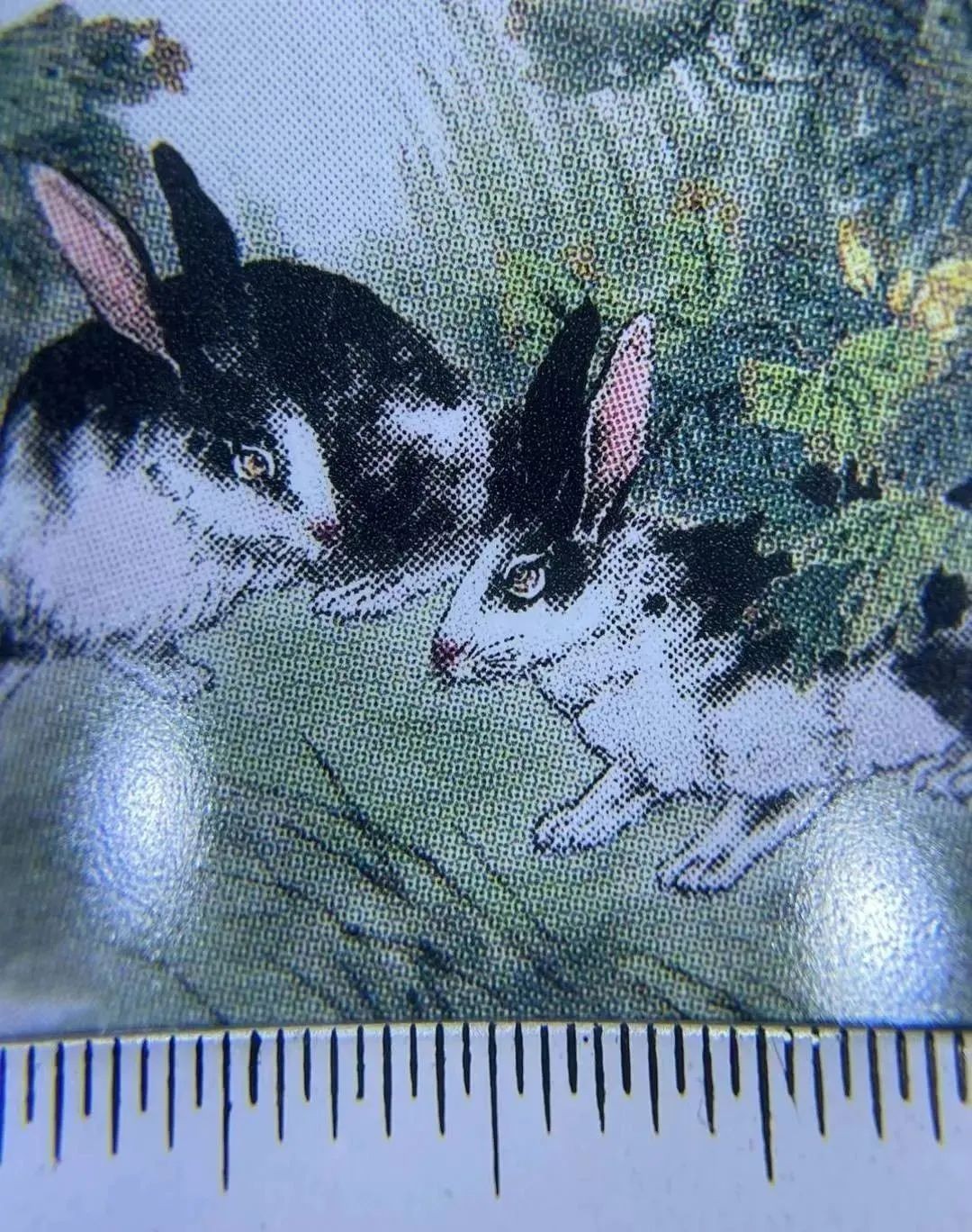 怎样鉴别兔茅是否漏酒,2023兔茅真假鉴别