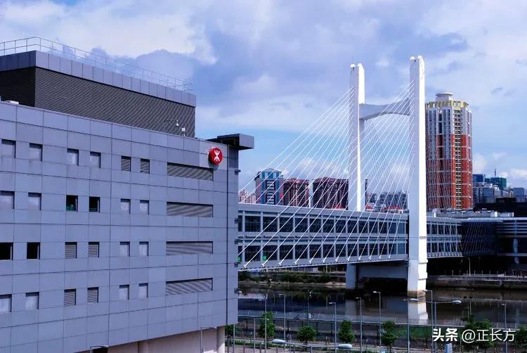 源源活水深圳河!(二)