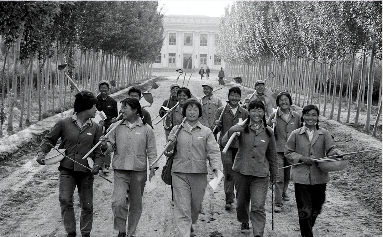 老知青酒1968典藏,老知青酒