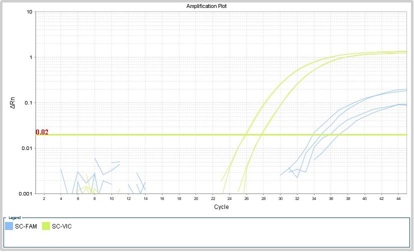 如何解决特殊样品的支原体快速检测？