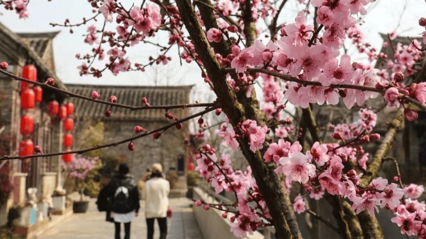 徐州春游野餐的好地方推荐,徐州最新春游推荐