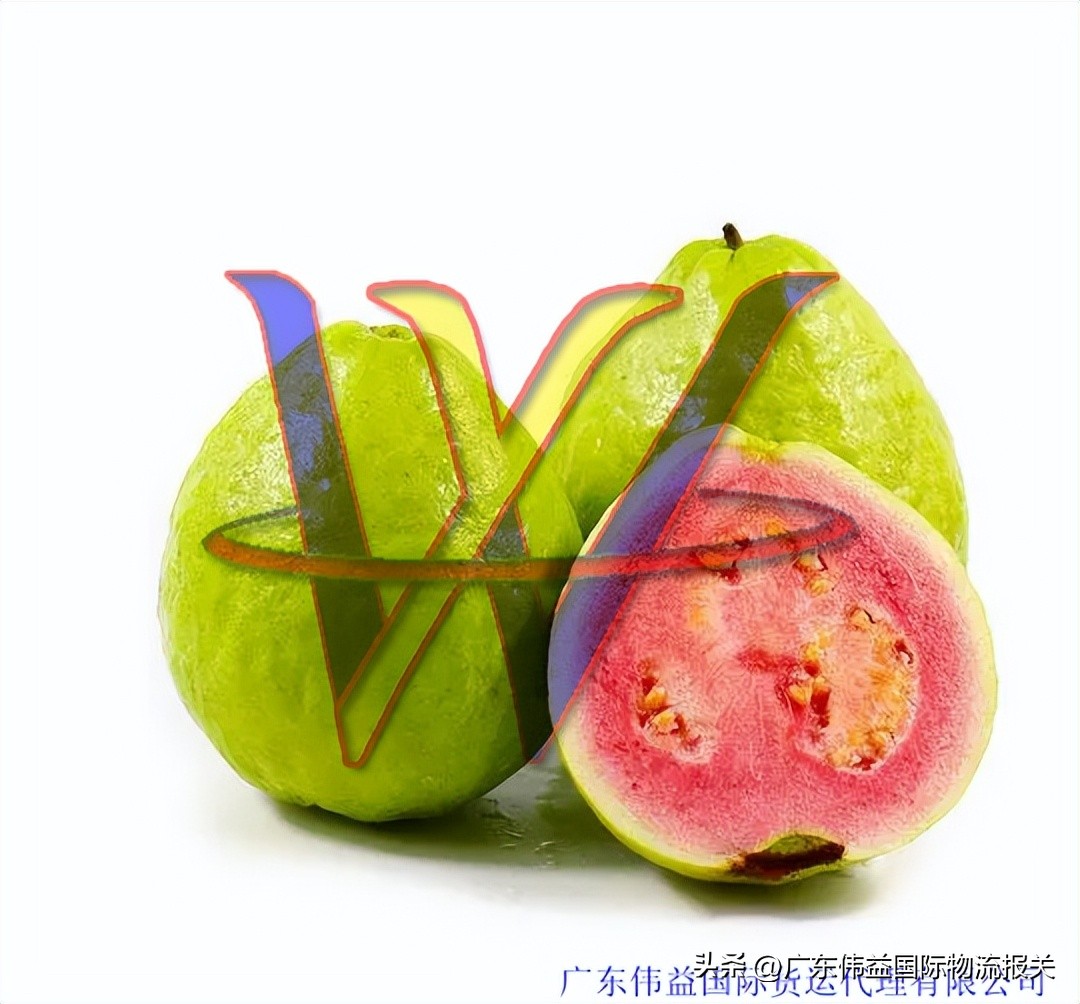 虎门港进口台湾番石榴报关手续有何限制及通关税率多少