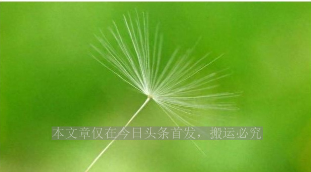 60岁的少女马兰,没有皱纹也没有赘肉,余秋雨娶她堪比获诺贝尔奖