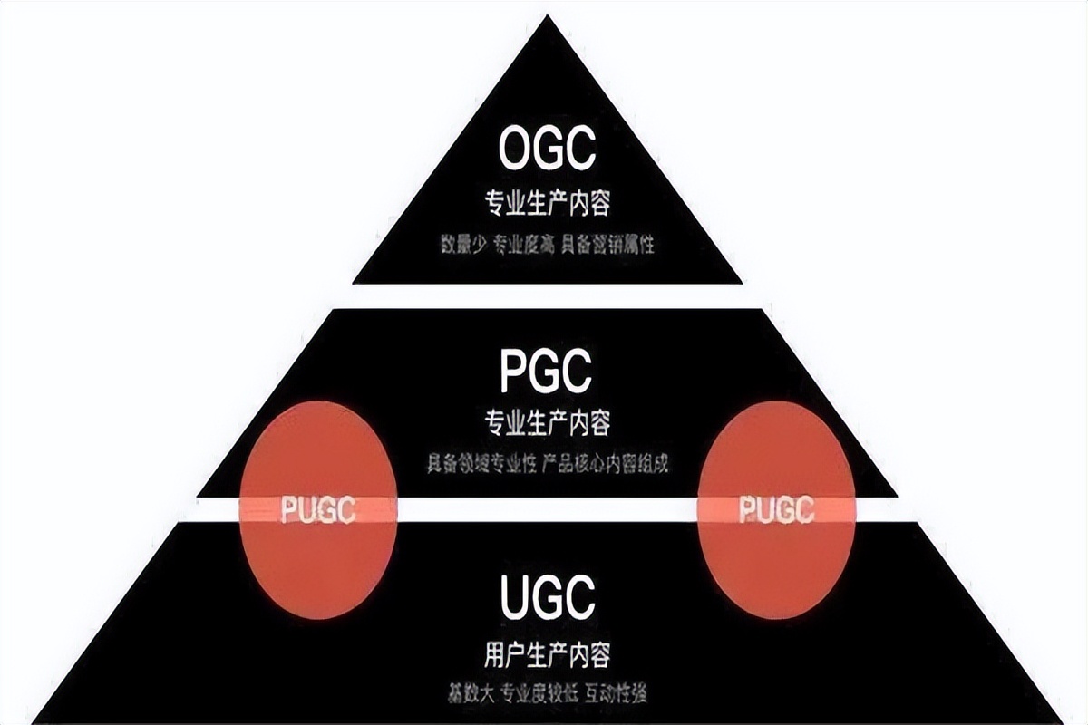 想玩转新媒体运营这19份资料必看,新媒体运营入门必备知识点