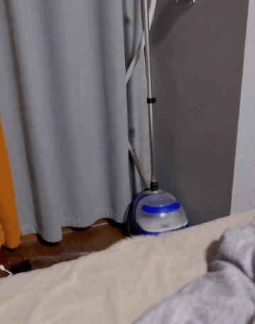 公鸡：他们在做啥午餐？猫：你老婆炖土豆