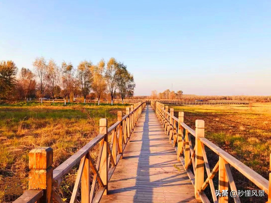 <html>
<head><title>502BadGateway</title></head>
<body>
<center><h1>502BadGateway</h1></center>
<hr><center>nginx</center>
</body>
</html>
<!--apaddingtodisableMSIEandChromefriendlyerrorpage-->
<!--apaddingtodisableMSIEandChromefriendlyerrorpage-->
<!--apaddingtodisableMSIEandChromefriendlyerrorpage-->
<!--apaddingtodisableMSIEandChromefriendlyerrorpage-->
<!--apaddingtodisableMSIEandChromefriendlyerrorpage-->
<!--apaddingtodisableMSIEandChromefriendlyerrorpage-->
