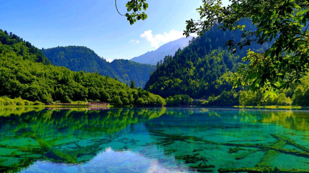 四川名山有哪些旅游景区,四川国家5a级景区排名