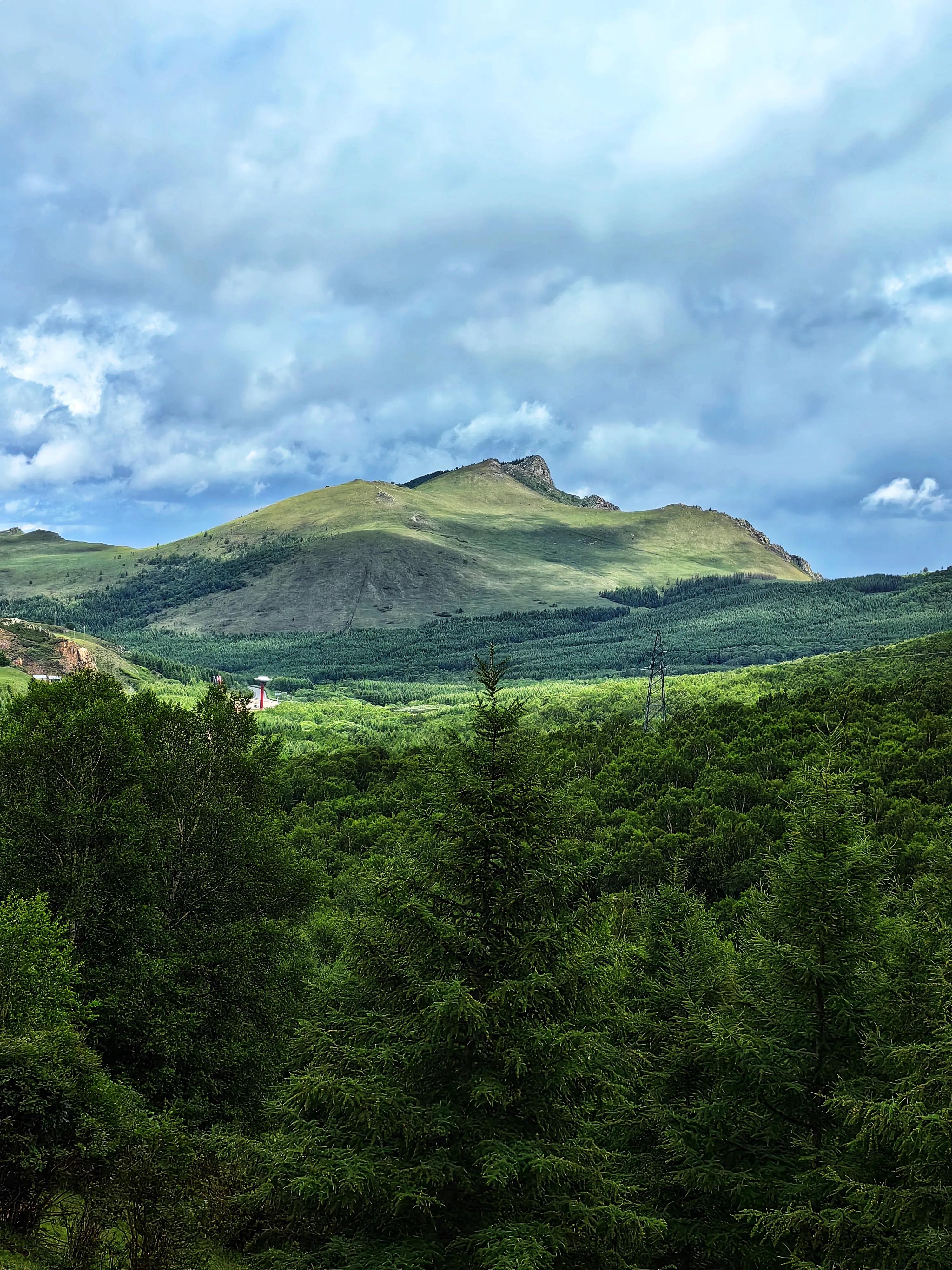 柳树沟稀树草原营业了吗,云中草原
