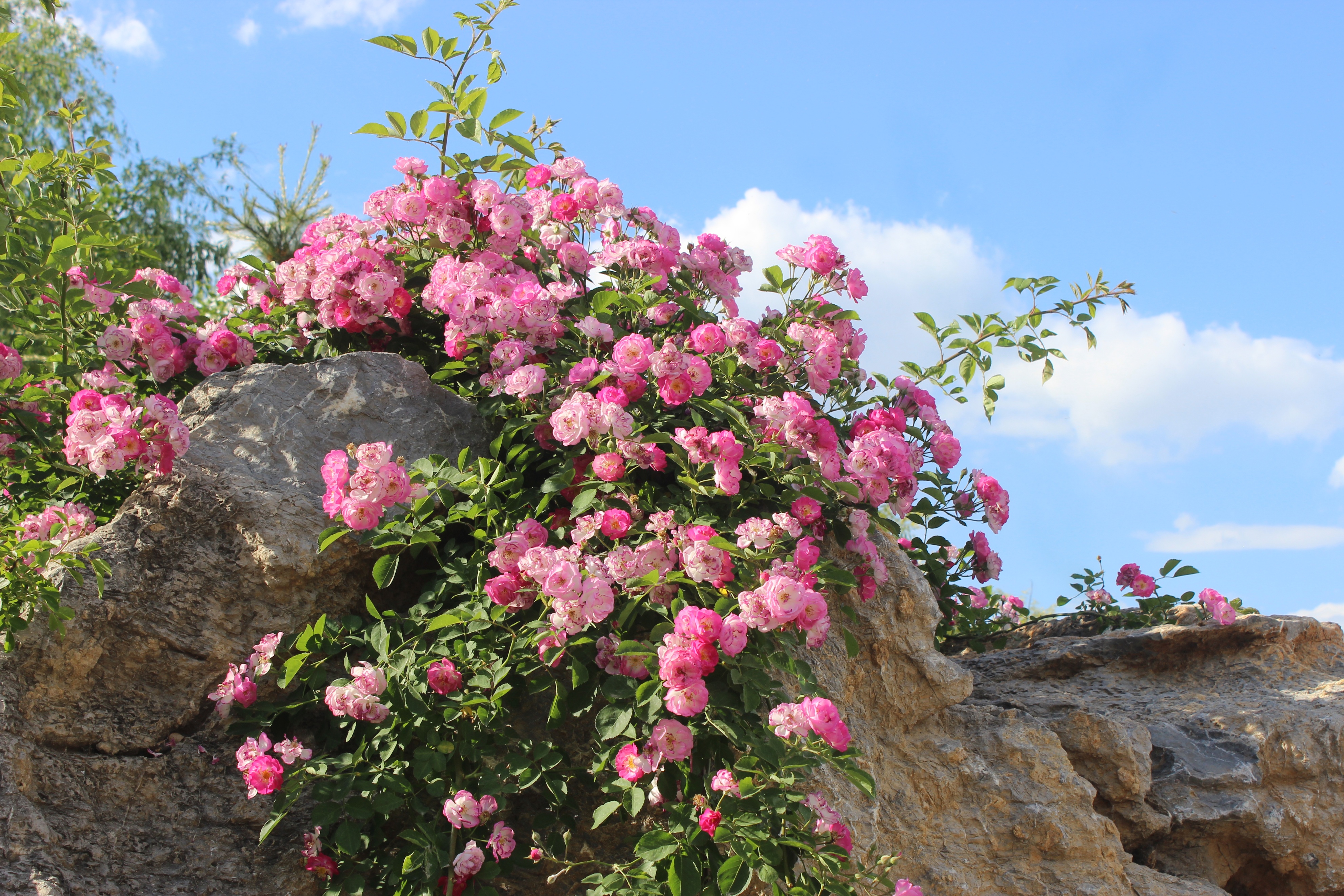2019燕都古城精美图片,易县燕都古城旅游景点大全