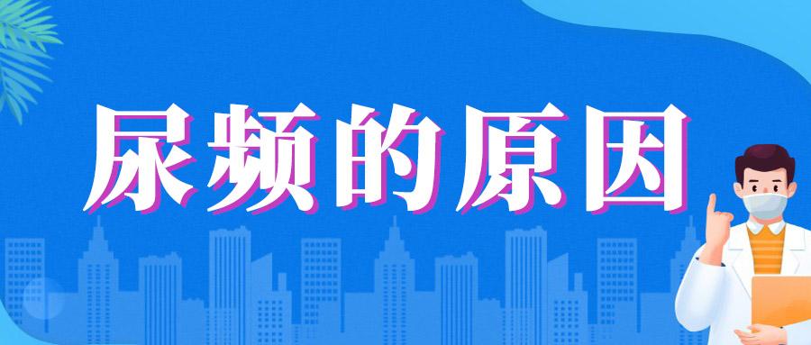 中年男人夜间尿频是什么原因,五十岁男人尿频是什么原因