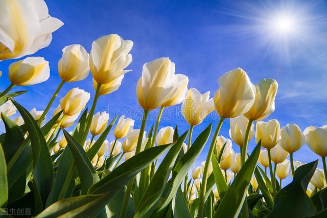 男人如何提升气质和自己魅力,女生如何提升自己的气质