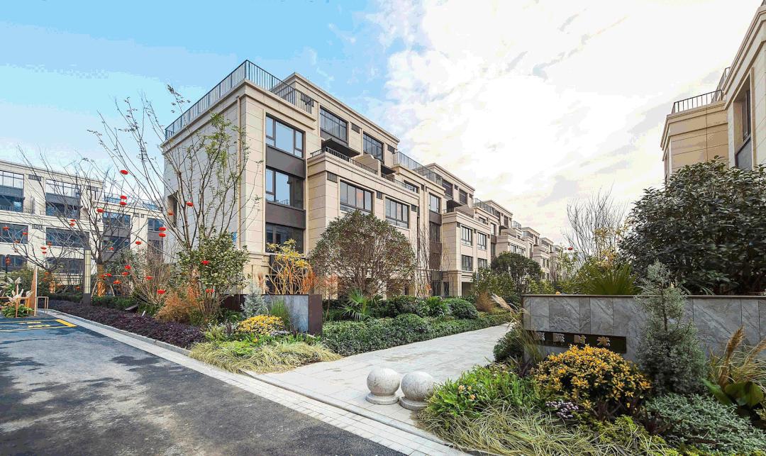 霸榜天宁！现象级红盘品质再升级！常州人沸腾了！