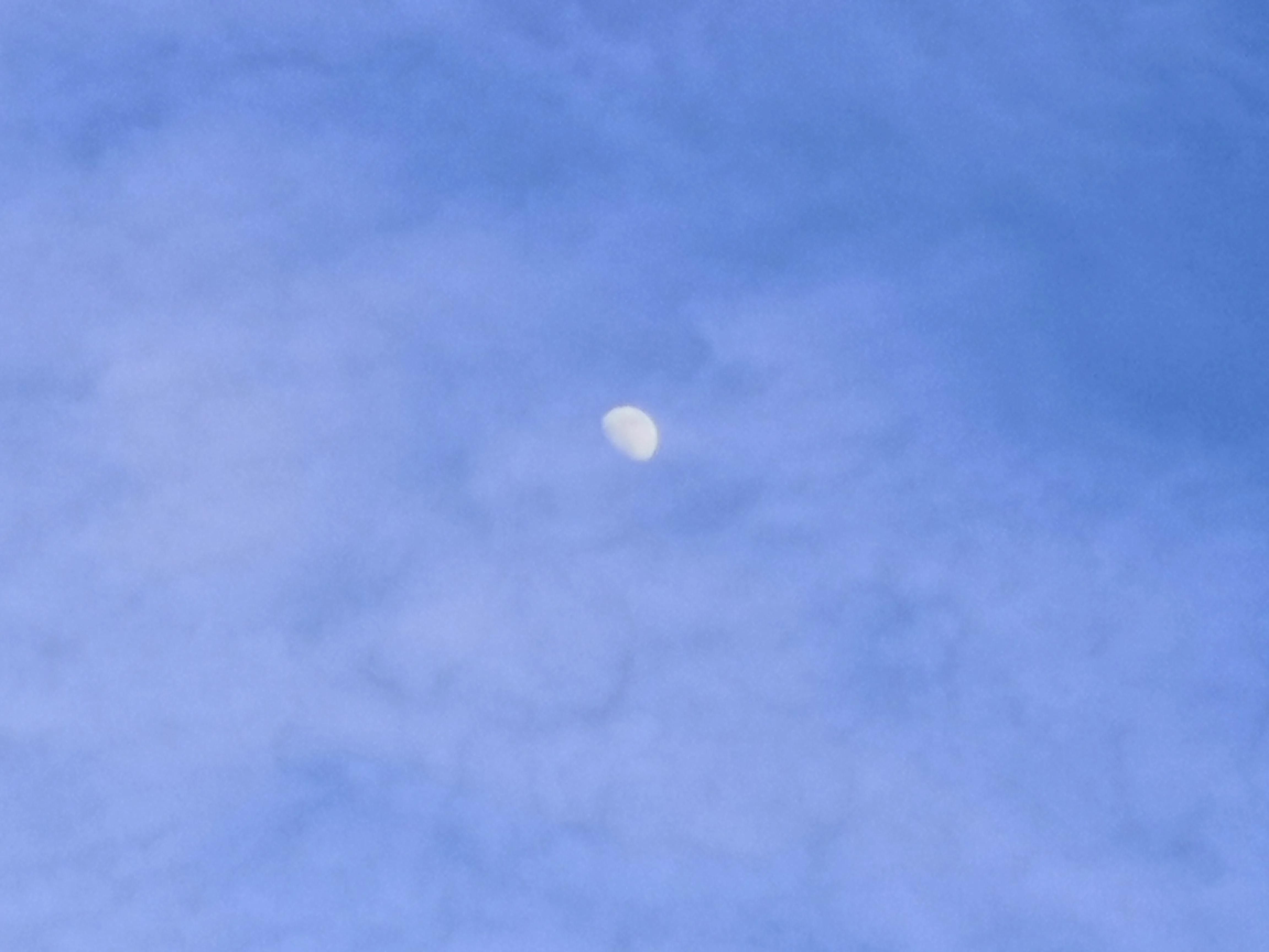 振华股份深度分析,越走越好完整版