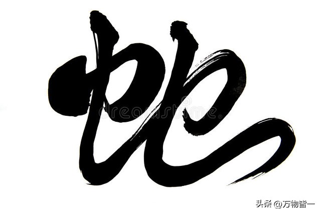 五十岁才开始财运逆袭成功的生肖,靠自己的生肖