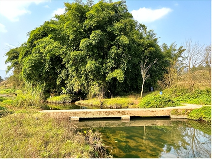 重庆故事20集,重庆往事真实故事