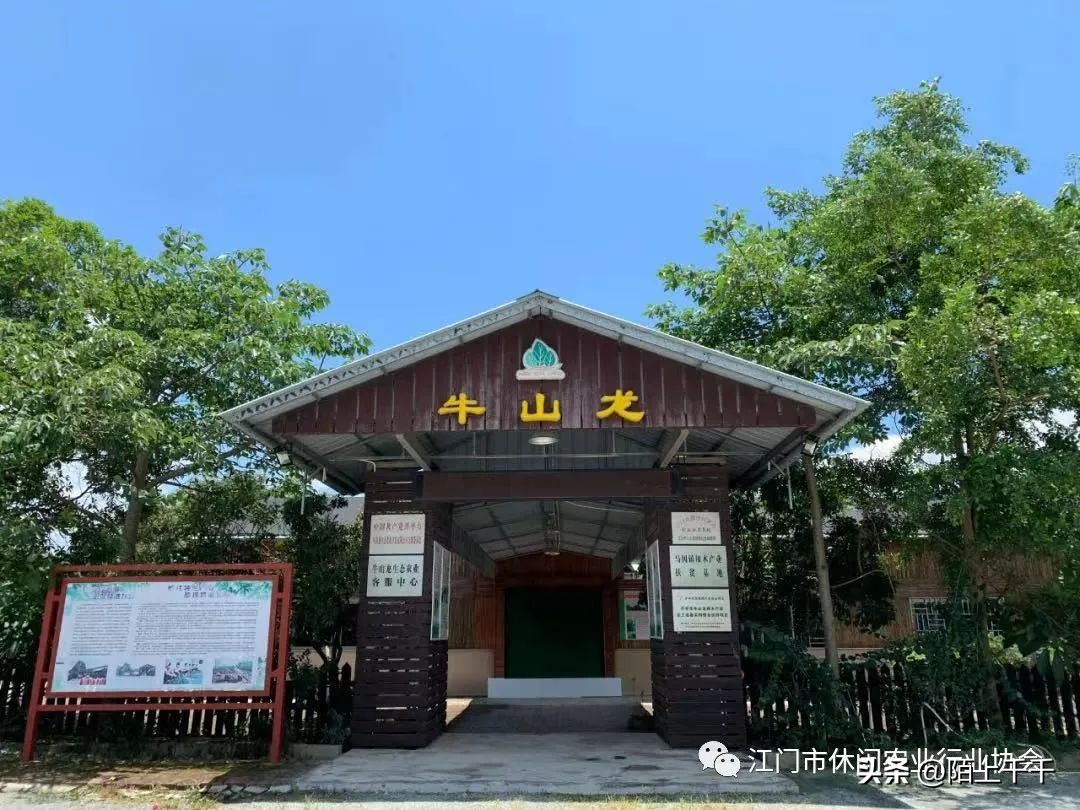 秋分将至，来游江门乡村休闲精品线路啦！美景美食不能少