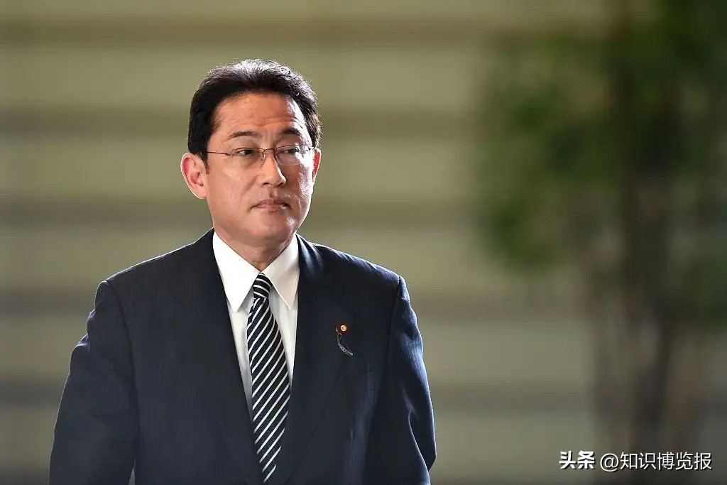 美国东北亚战略,美国承认美插手乌东战事