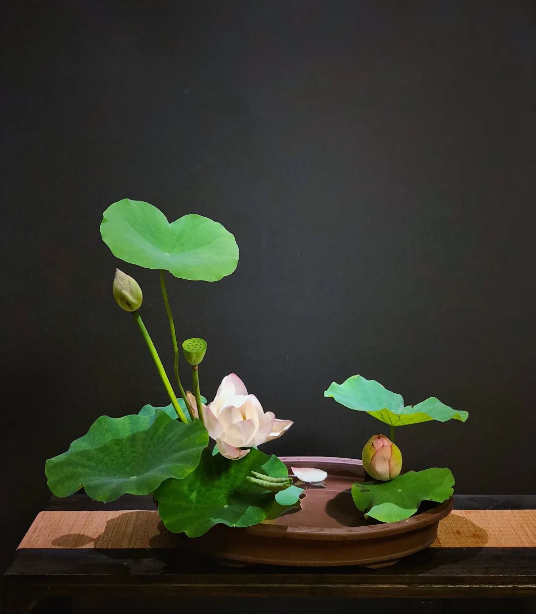 日本顶级禅意插花荷花,日式荷花插花