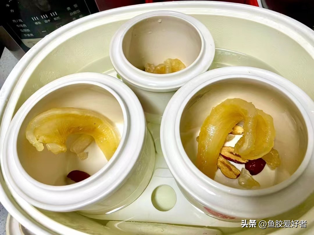 科普鱼胶赤嘴种类大全,关于鱼胶的知识讲座视频