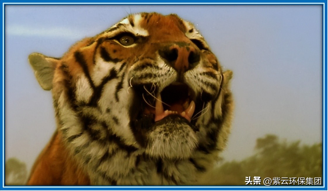 怎么让足球踢出去再回来,怎么才能让足球踢得远