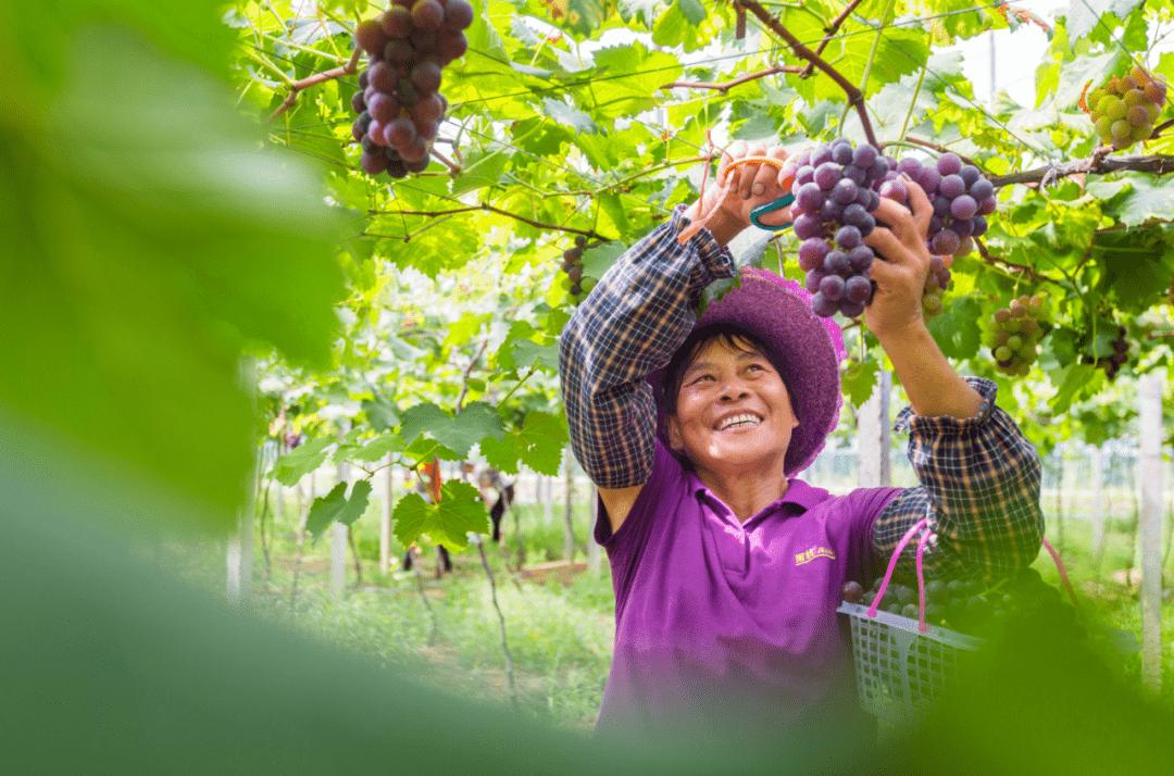 曹德旺的成功是靠他哥哥吗,曹德旺初次创业谁拉了他一把