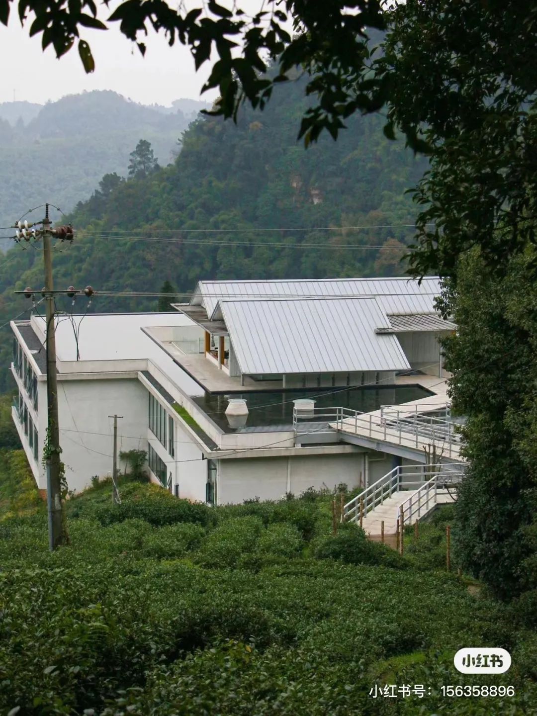 躲进山里民宿,躲在深山老林的民宿