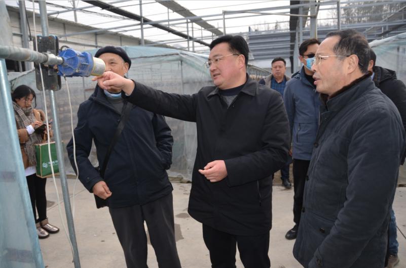 随县香菇科技产业园,随县香菇产业园电话