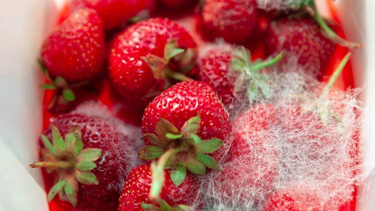 订单暴增103倍军工企业,订单量暴涨360%