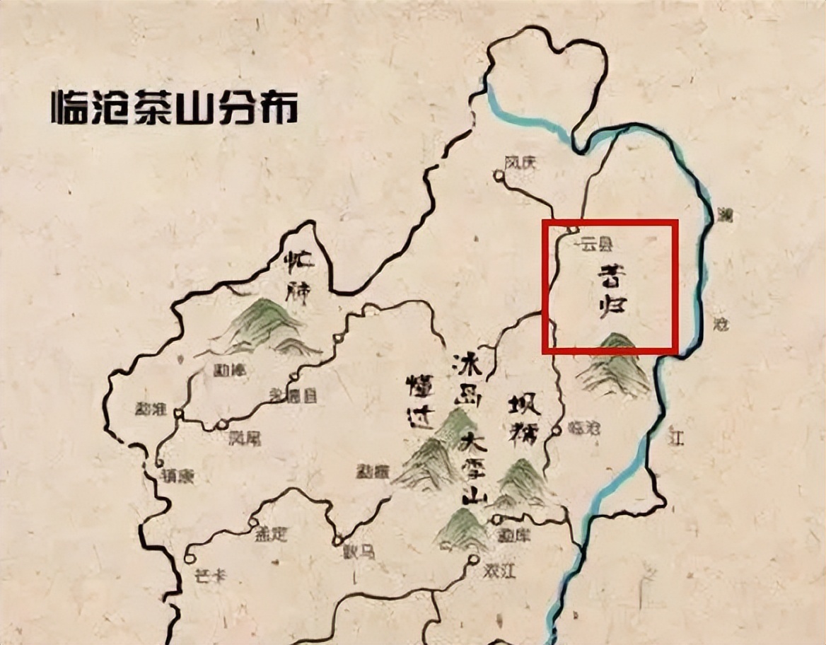 昔归茶为什么苦涩,昔归茶的寓意是什么