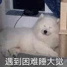 内存条两根8g的好还是单根16g的好,内存条两根8g和一根16g评测