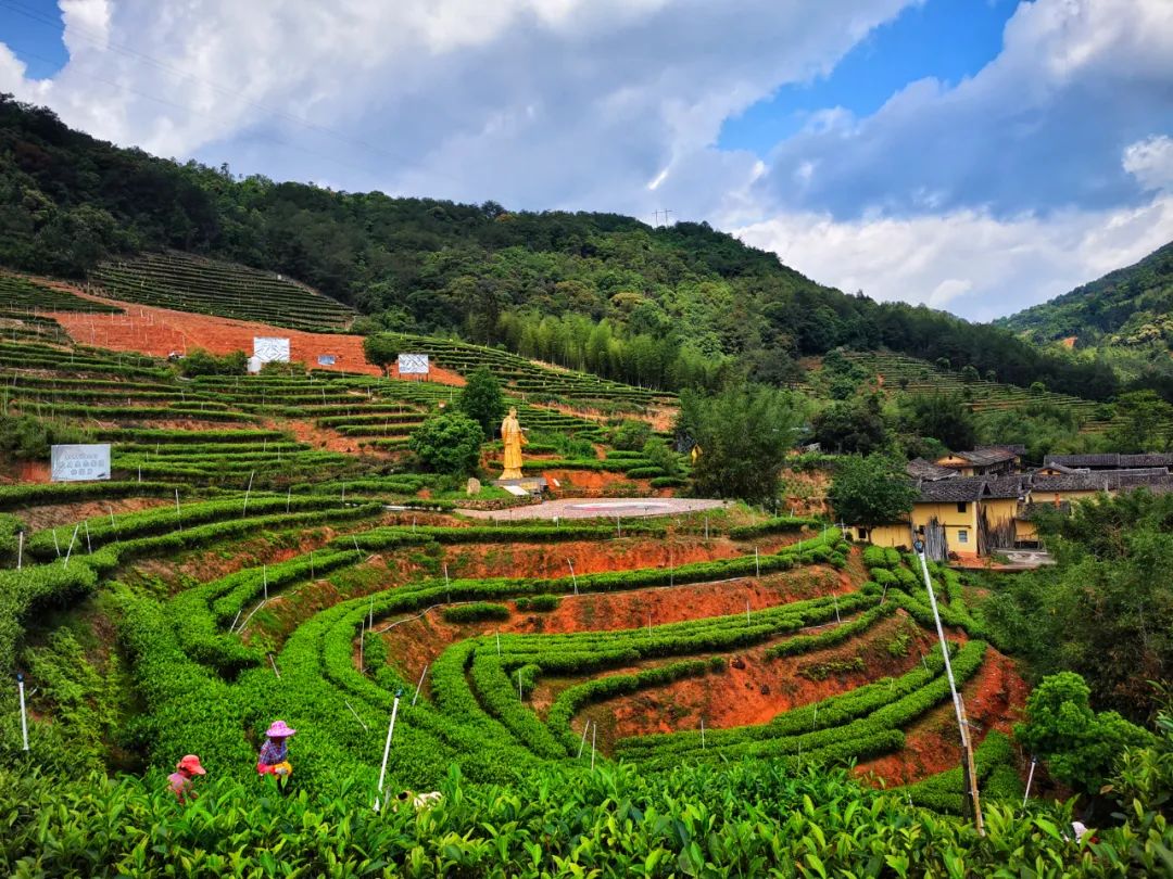 双洋南洋水仙在洋作者：詹鄞森