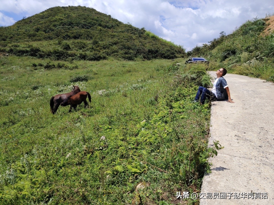 赵华岗交易战法,赵华岗外汇特殊战法