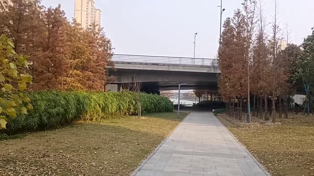 江阴市大美,大美江阴航拍