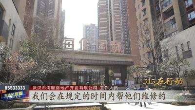 海伦国际精装房问题,海伦国际延期交付