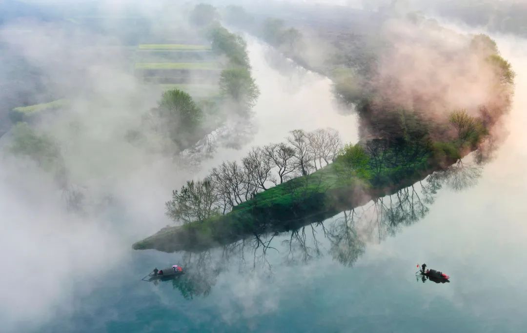 希望的田野获奖,获金奖希望的田野