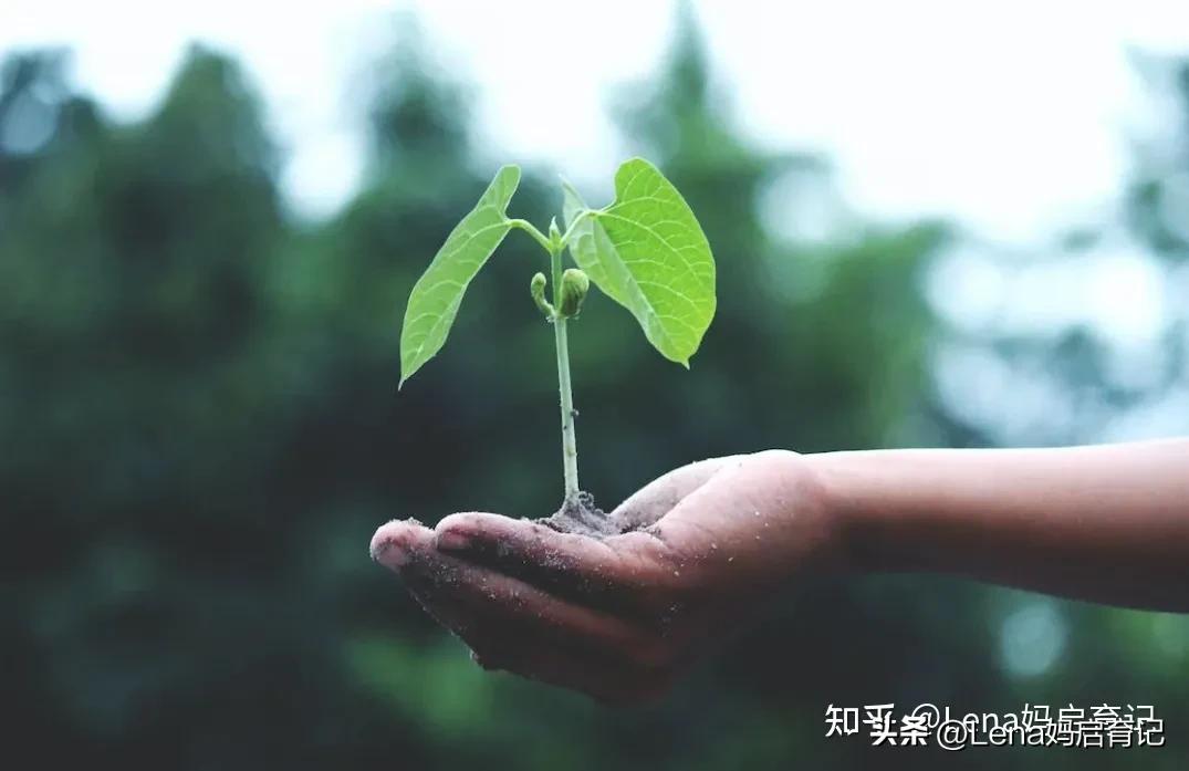 你能接受孩子的平庸吗完整版,当你对你的孩子失望了该怎么办