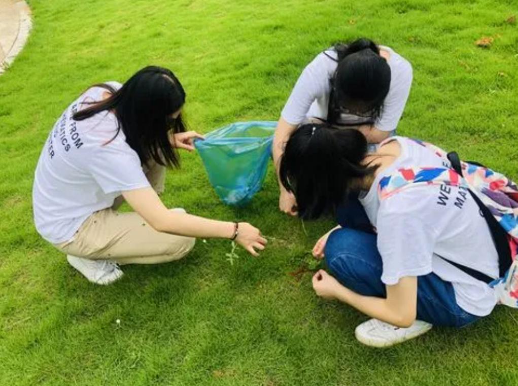 大学生不愿“薅草”，竟拿老师的草药撒气，无知而不自知真可怕