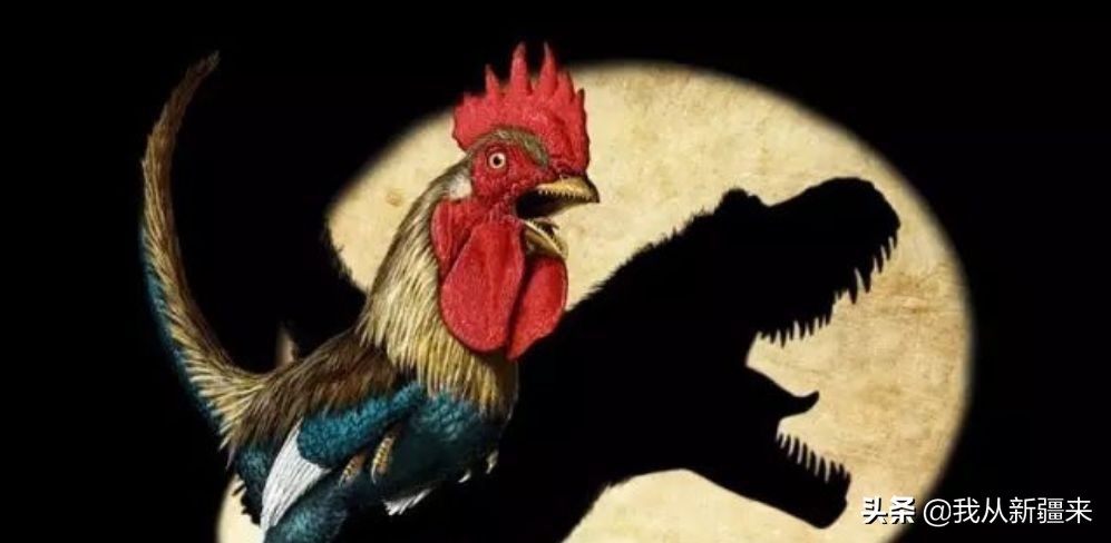 新疆哈密翼龙,天山哈密翼龙