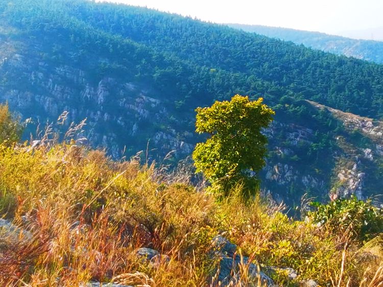 旅顺城山,旅顺城山怎么绕过去