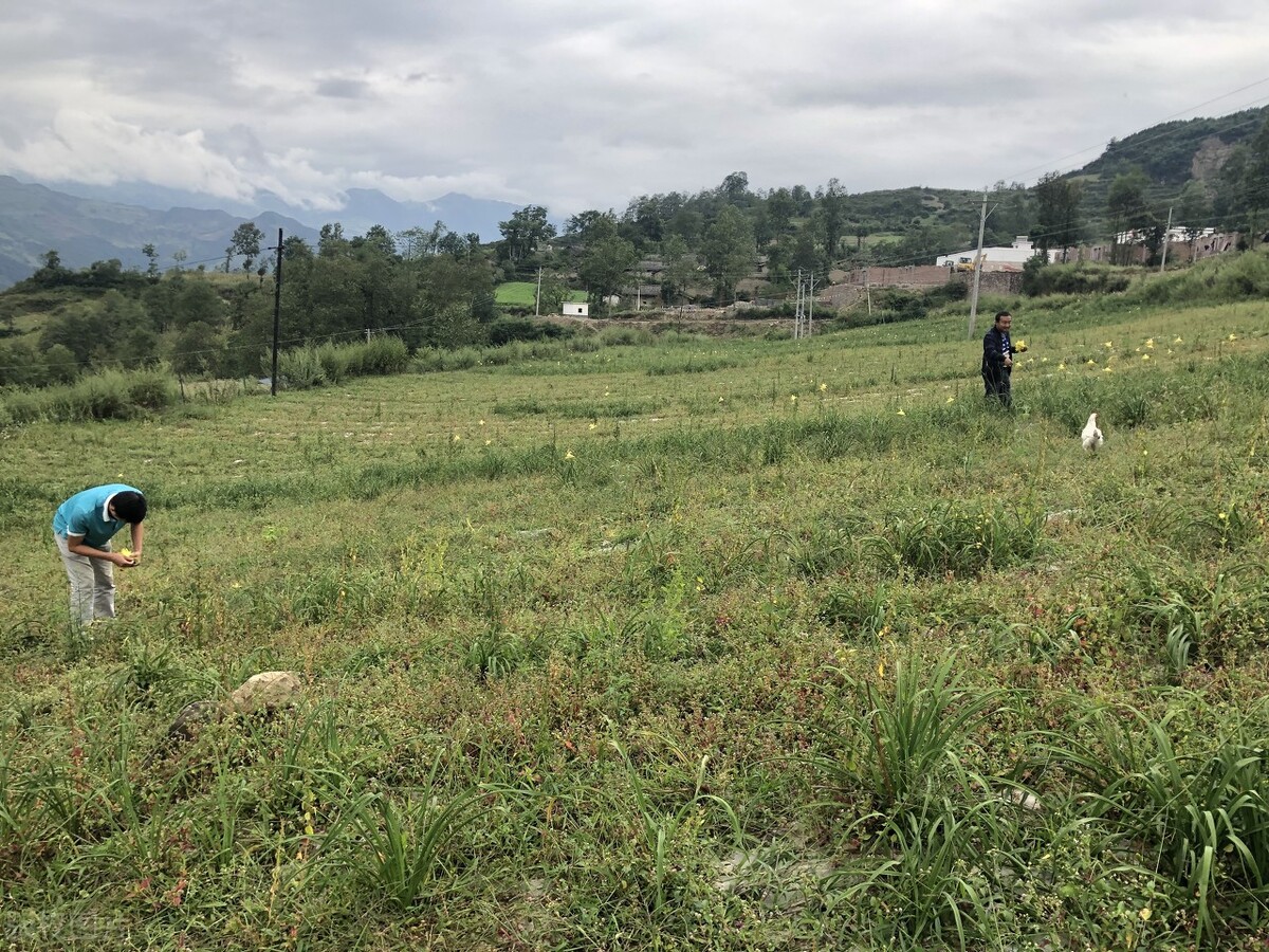 在村里当村官有意义吗,在村上当村干部有前途吗