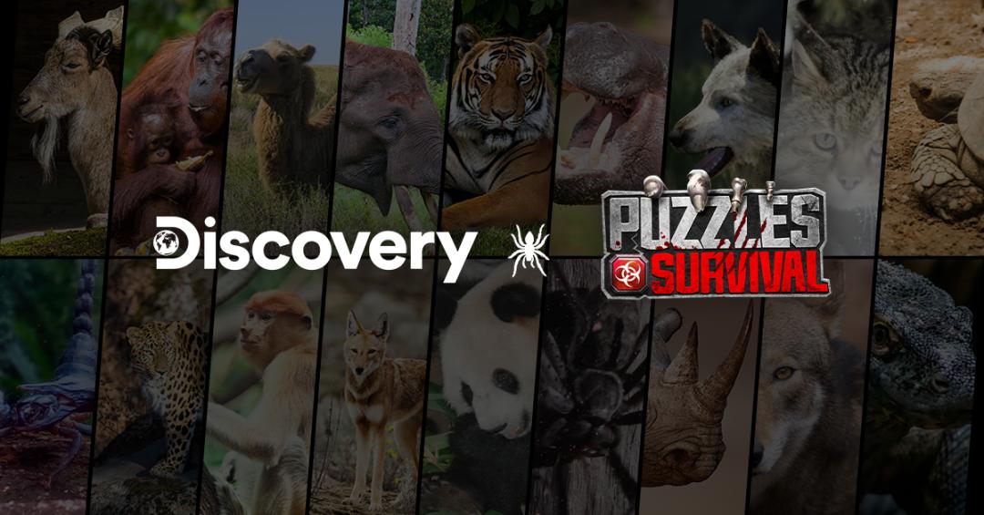 puzzlessurvival排名,puzzles&survival手游