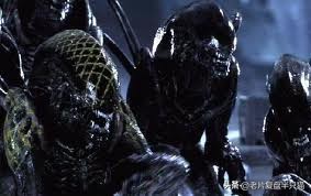 铁血战士铁血异形有多强,铁血战士铁血异形顺序