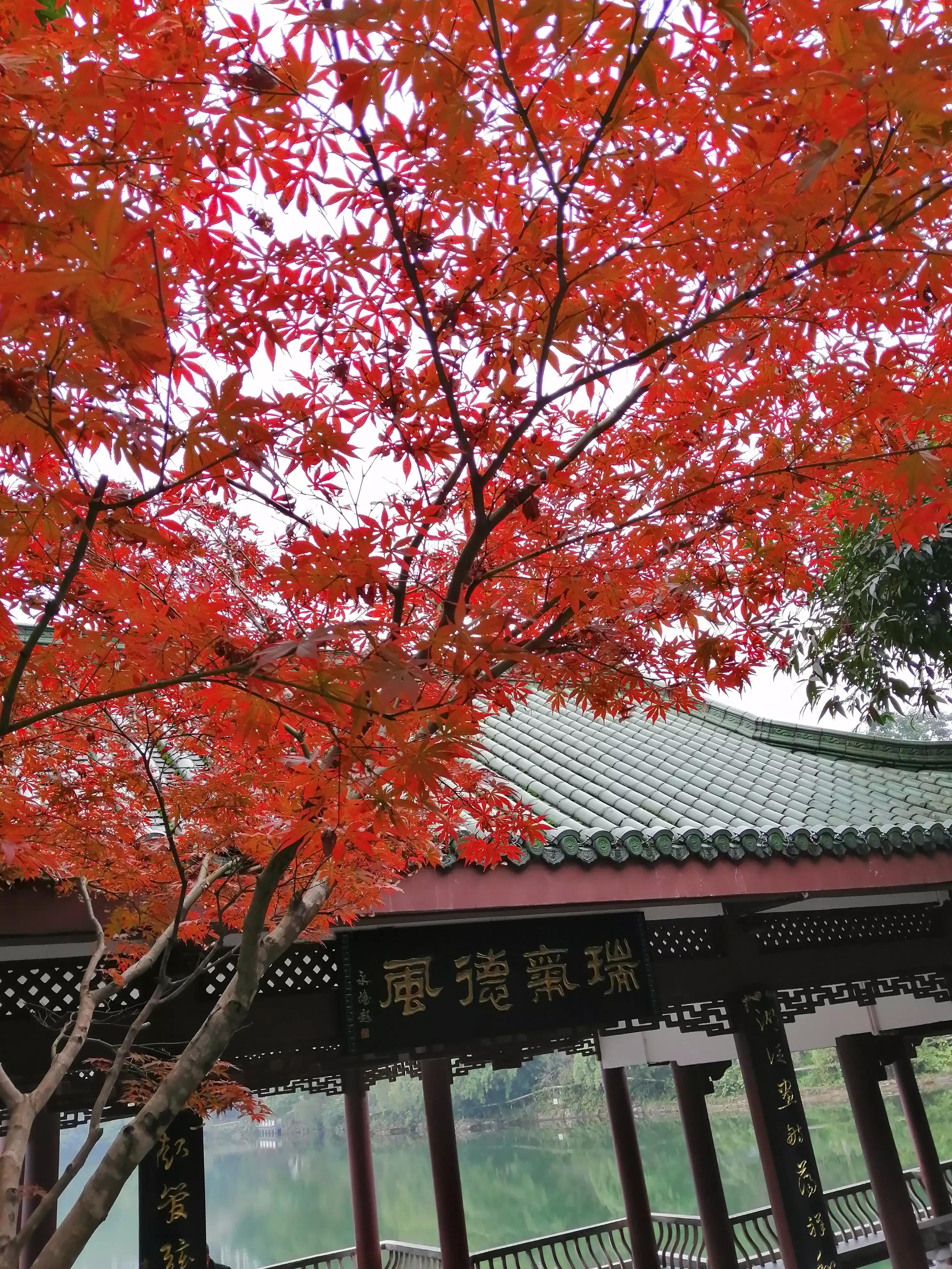 重庆的冬天有必要开地暖,重庆地暖知识