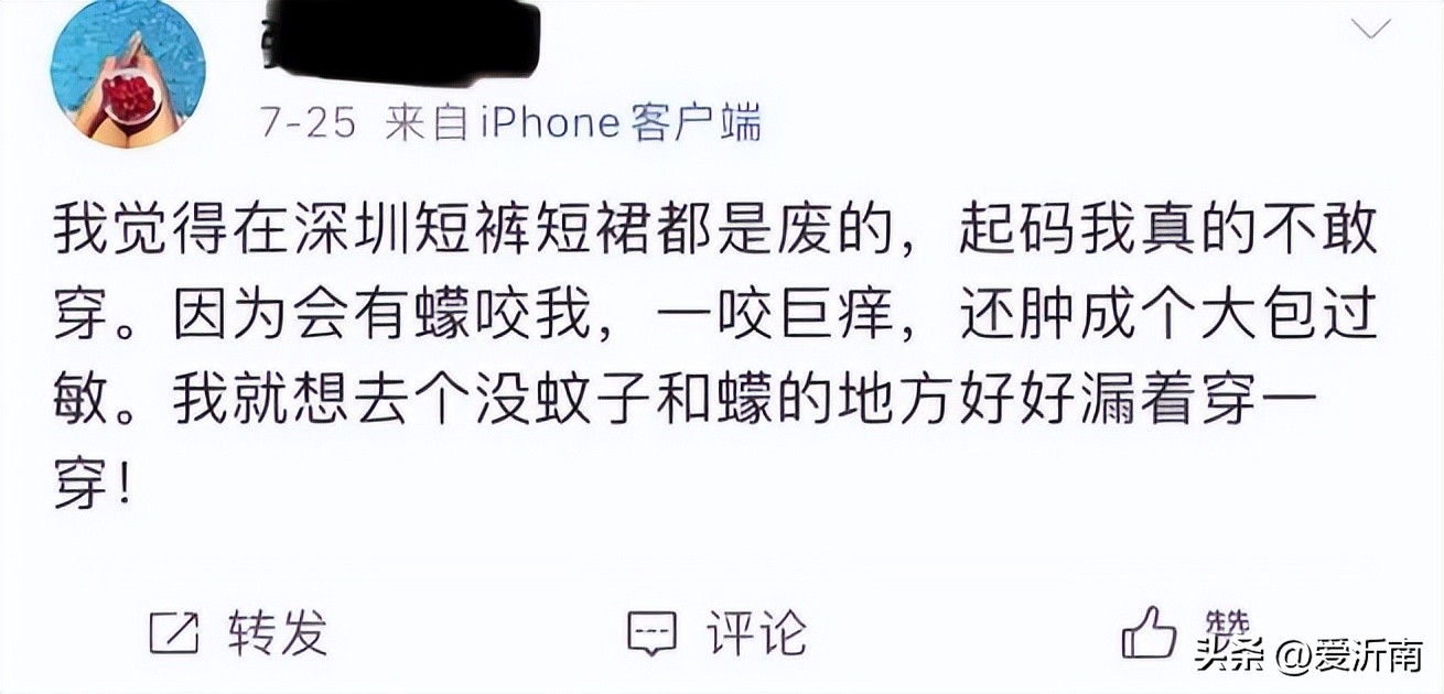 身上突然痒是蚊子吗,身上无缘无故的痒到处长蚊子大包